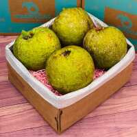 Read Tropical Fruit Box Reviews