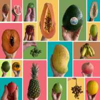 Read Tropical Fruit Box Reviews