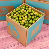 Read Tropical Fruit Box Reviews