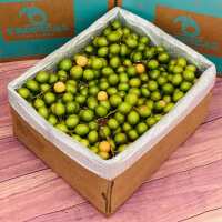 Read Tropical Fruit Box Reviews