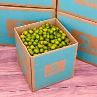 Read Tropical Fruit Box Reviews