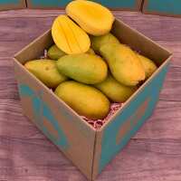 Read Tropical Fruit Box Reviews