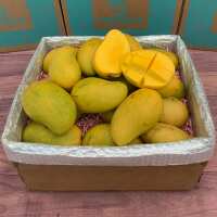 Read Tropical Fruit Box Reviews