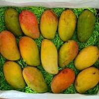 Read Tropical Fruit Box Reviews