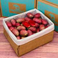 Read Tropical Fruit Box Reviews