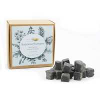 Read Friendly Turtle Reviews