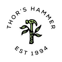 Read Thor\'s Hammer Reviews