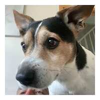 Read Mindahome Reviews