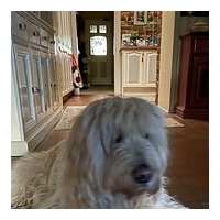 Read Mindahome Reviews