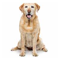 Read Mindahome Reviews