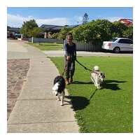 Read Mindahome Reviews