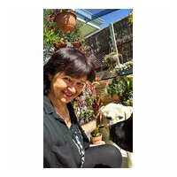 Read Mindahome Reviews