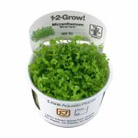 Read Green Aqua Reviews