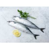 Read Wright Brothers Reviews