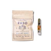 Read PASO Reviews