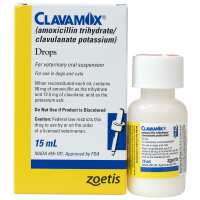 Read Allivet Reviews