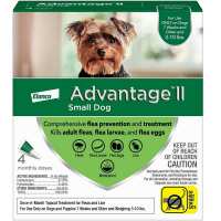 Read Allivet Reviews