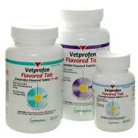 Read Allivet Reviews