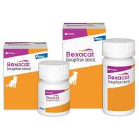 Read Allivet Reviews