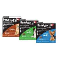 Read Allivet Reviews