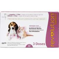 Read Allivet Reviews