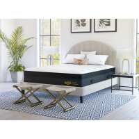 Read Nolah Mattress Reviews