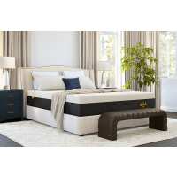 Read Nolah Mattress Reviews