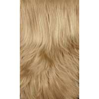 Read Ultimate Looks Reviews