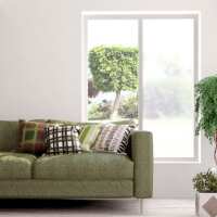 Read Window Film World Reviews