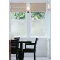 Read Window Film World Reviews