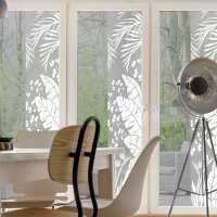 Read Window Film World Reviews