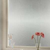 Read Window Film World Reviews