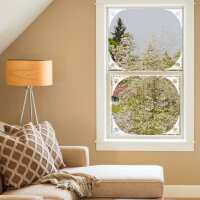 Read Window Film World Reviews