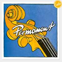 Read Stringers Music Reviews