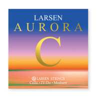 Read Stringers Music Reviews