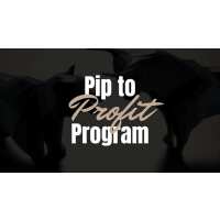 Read Urban Forex Reviews