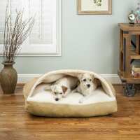 Read Snoozer UK Reviews