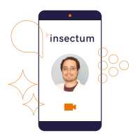 Leggere Insectum Recensioni