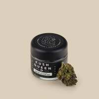 Read Kush Queen Reviews