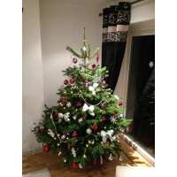 Read Christmas Trees Liverpool Reviews