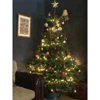 Read Christmas Trees Liverpool Reviews