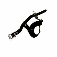 Read Lion Country Supply Reviews