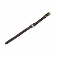 Read Lion Country Supply Reviews