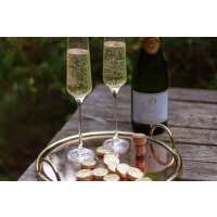 Read Elizabeth Shaw Reviews