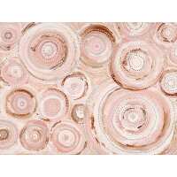 Read Urban Road Reviews