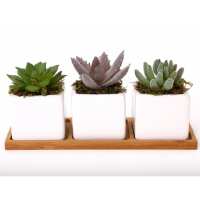 Read The Home Fusion Company Reviews