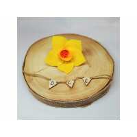 Read Daisy-Chain Equestrian Reviews