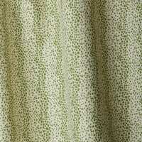 Read Diane Bergeron Reviews