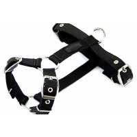 Read Rogue Royalty Reviews