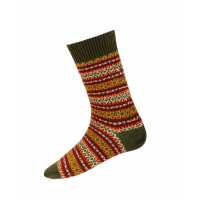 Read House of Cheviot Reviews